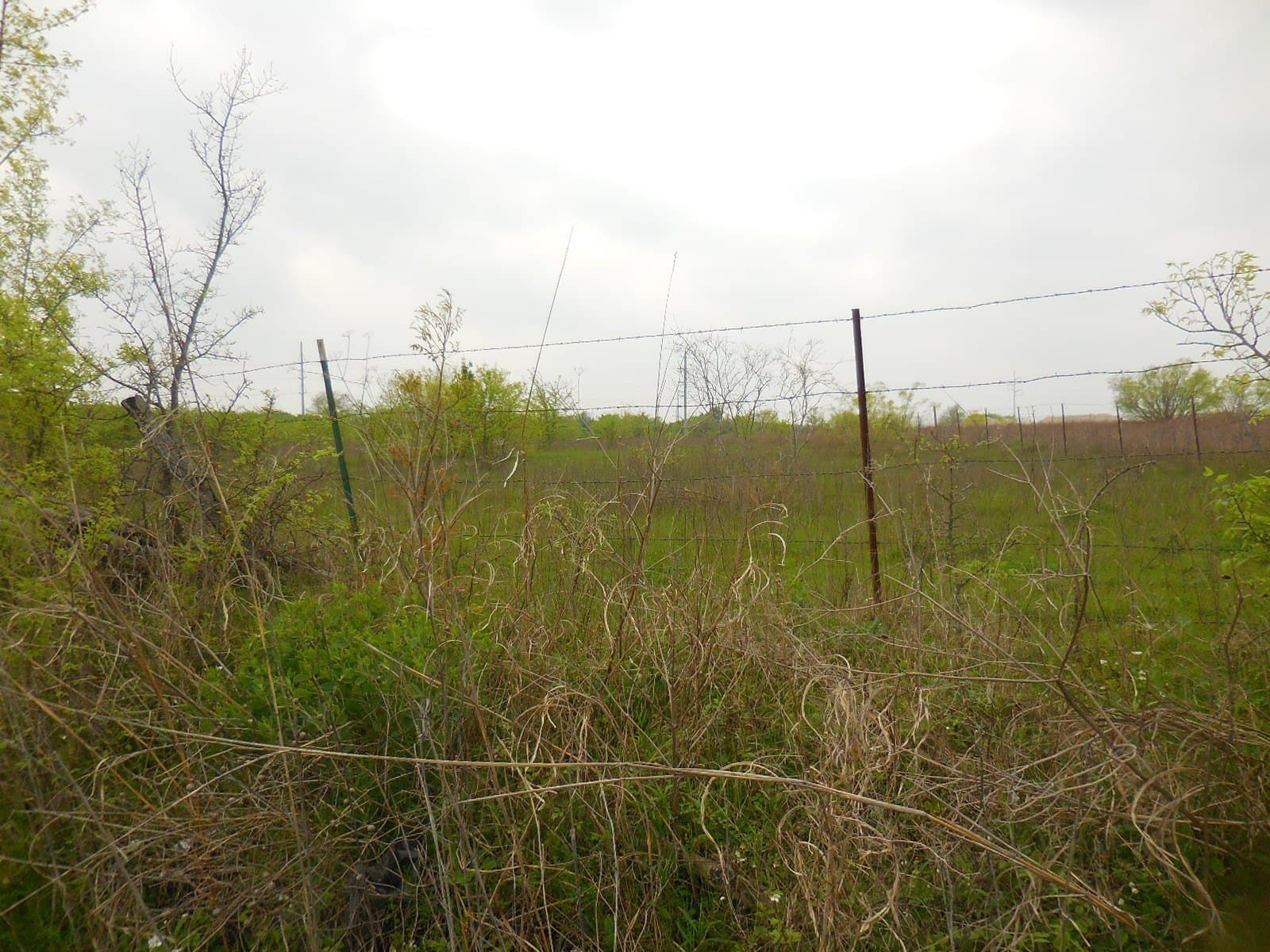 38.76 acres in Hunt County - photo 5