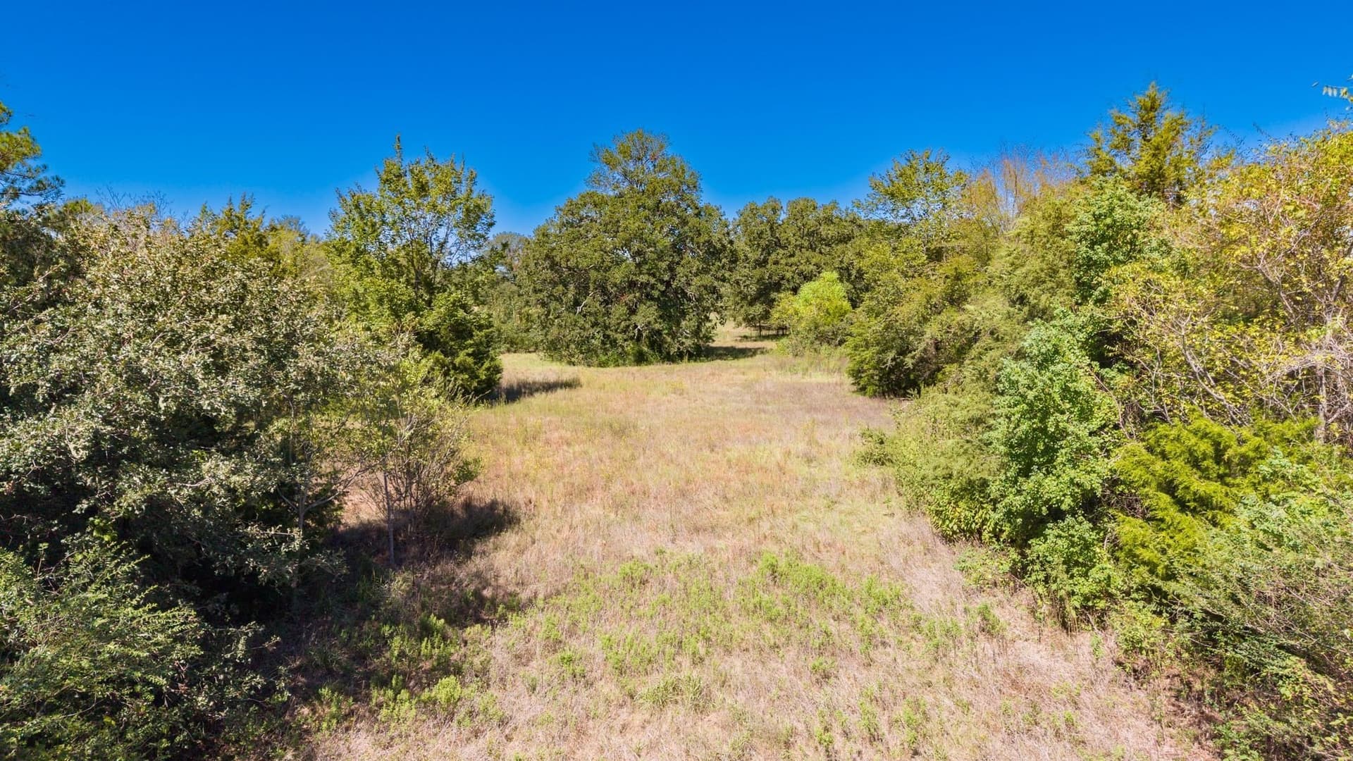 10.01 acres in Hopkins County - photo 39