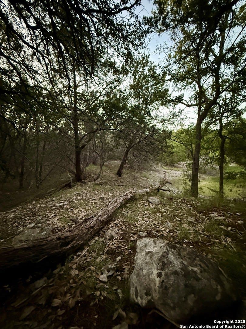2 acres in Comal County featured view