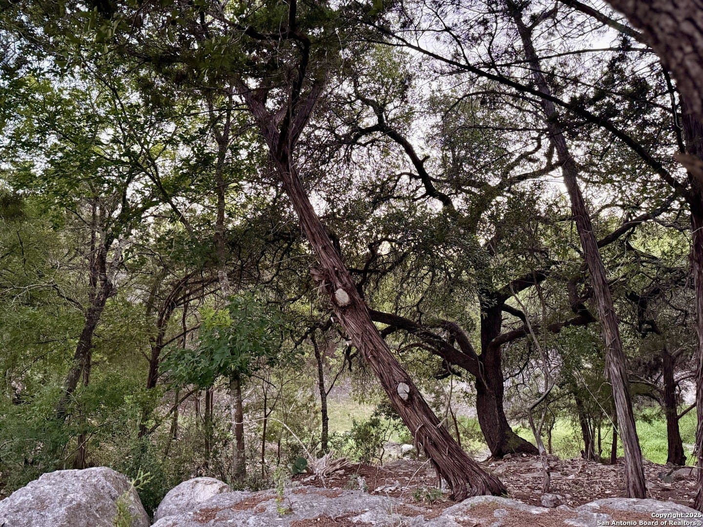 2 acres in Comal County gallery image 2