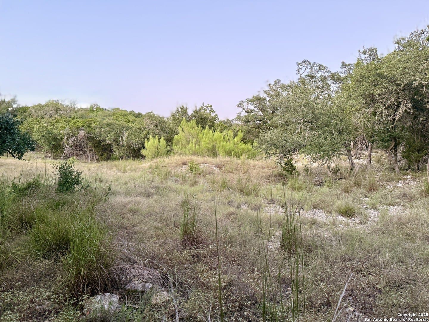 2 acres in Comal County gallery image 4