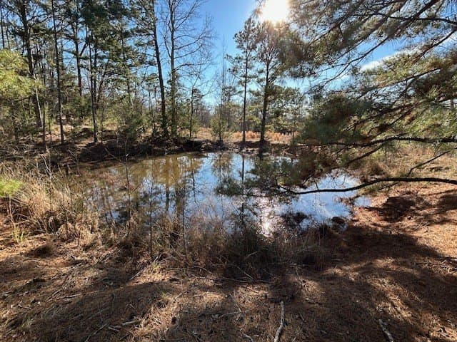 111.7 acres in Wood County gallery image 3