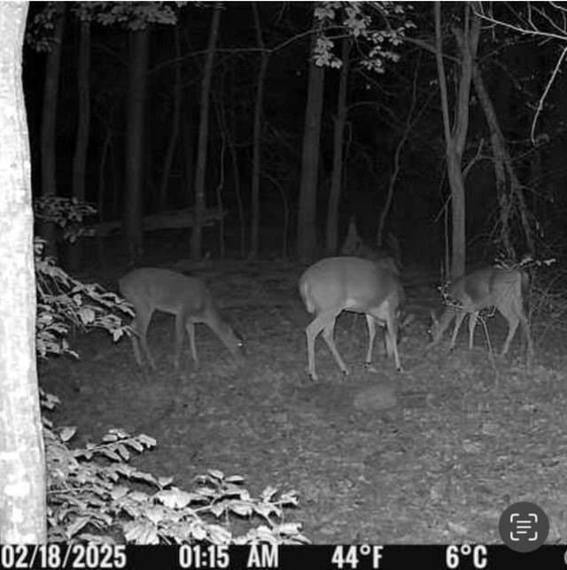 111.7 acres in Wood County gallery image 2