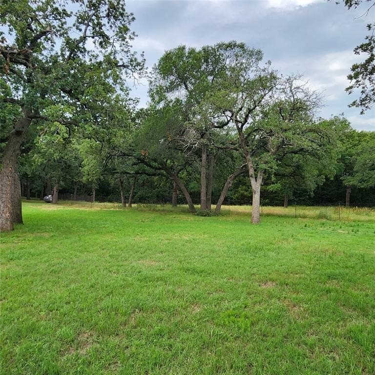 12 acres in Denton County gallery image 3