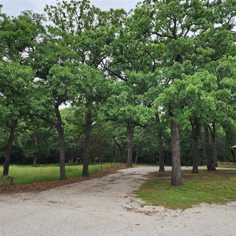 12 acres in Denton County gallery image 2