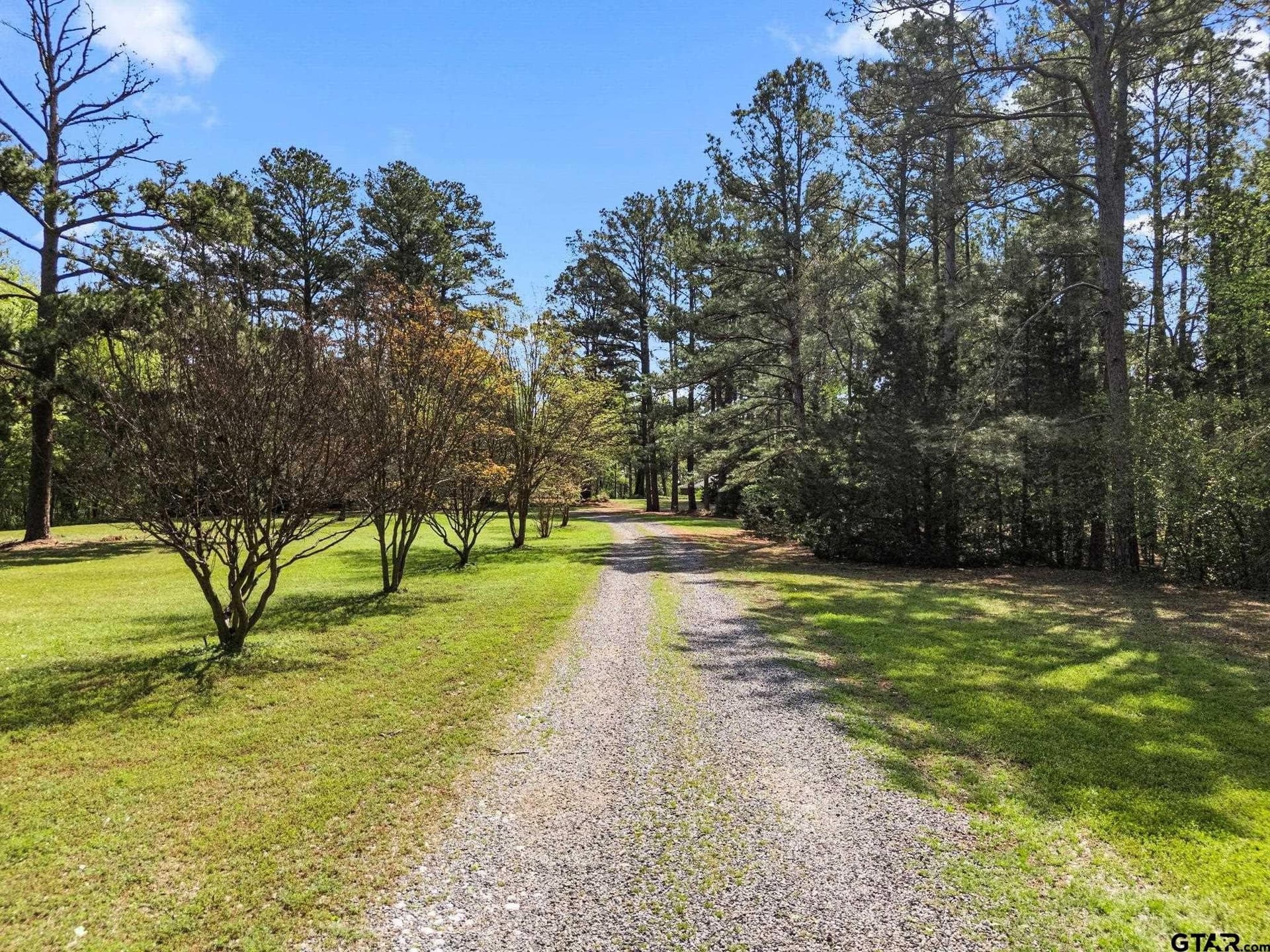 14 acres in Cherokee County gallery image 4