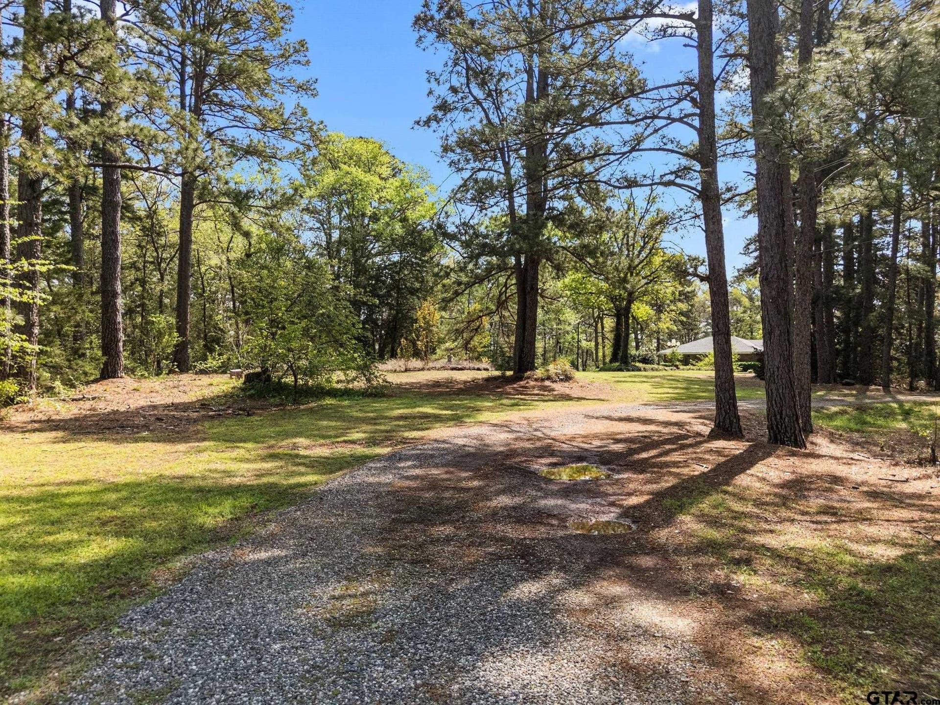 14 acres in Cherokee County gallery image 3