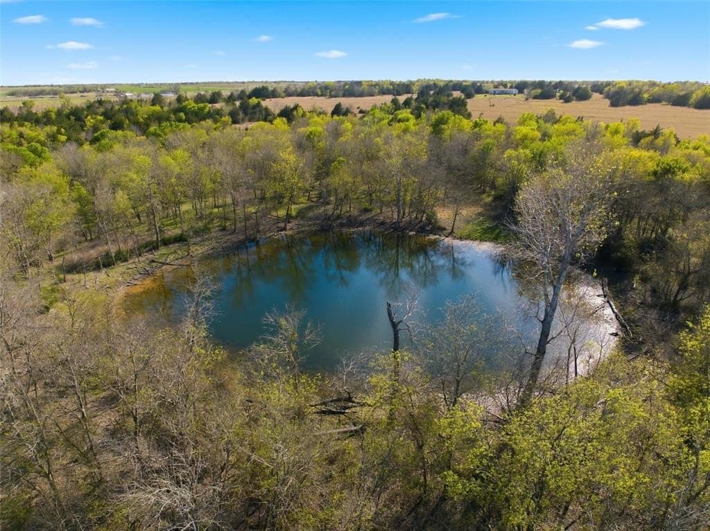 66.11 acres in Falls County gallery image 3