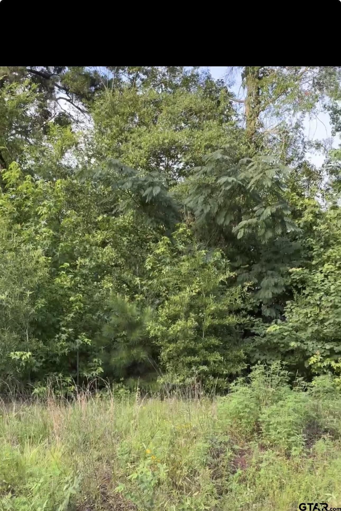 1.65 acres in Harrison County gallery image 2