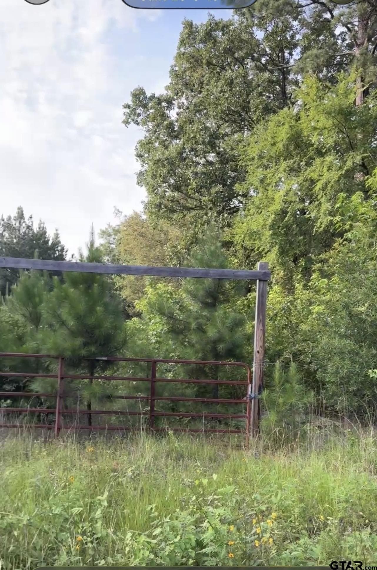 1.65 acres in Harrison County gallery image 3