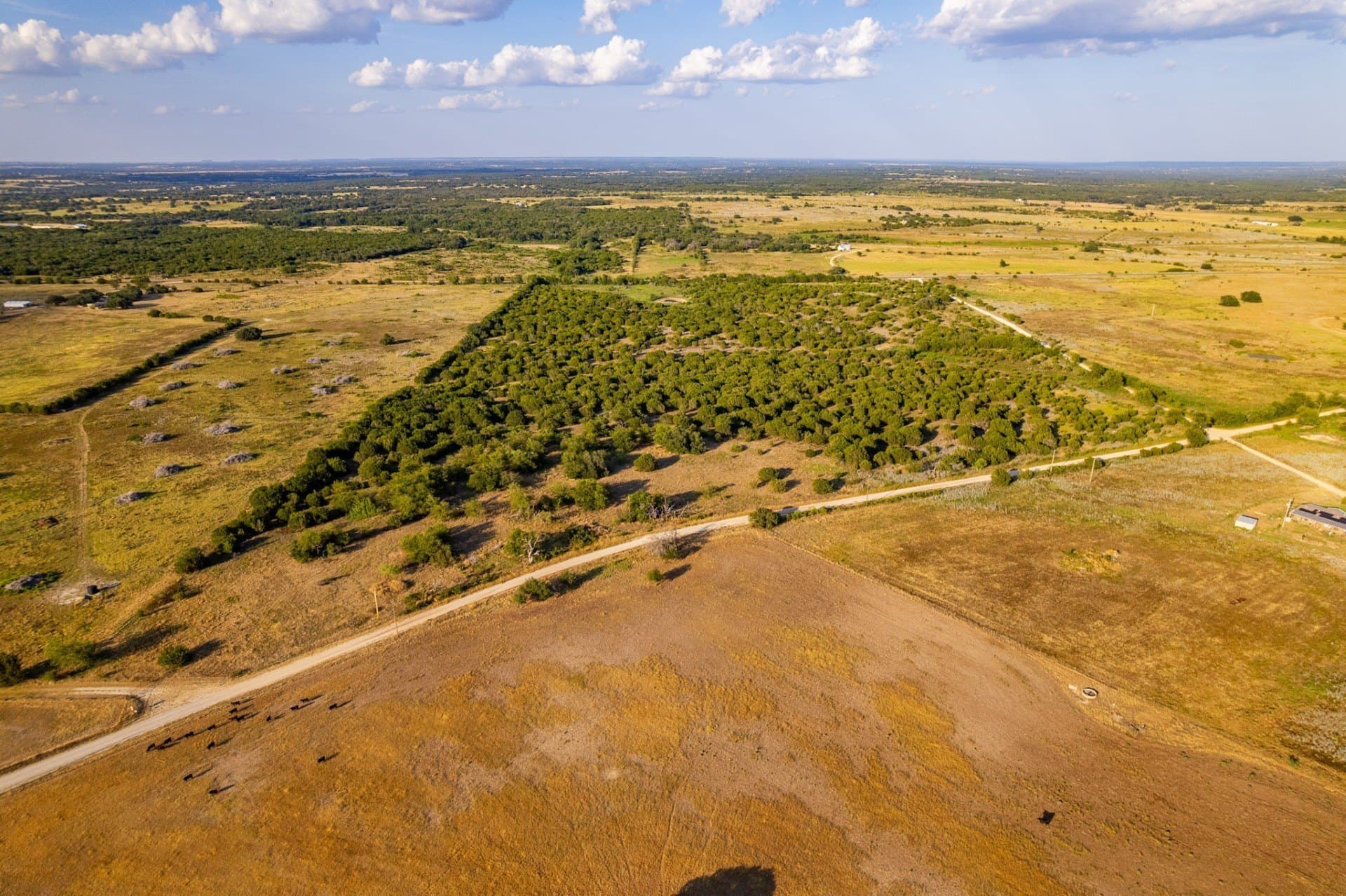 62.14 acres in Hamilton County - photo 2