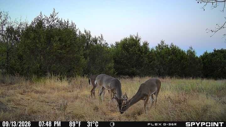 62.14 acres in Hamilton County - photo 8