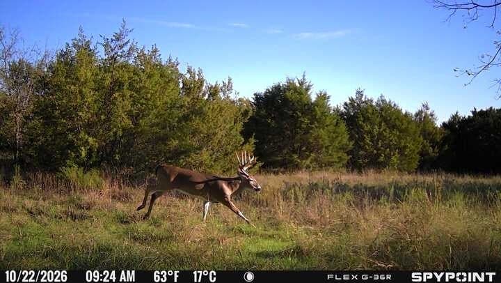 62.14 acres in Hamilton County - photo 6