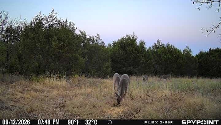 62.14 acres in Hamilton County - photo 9