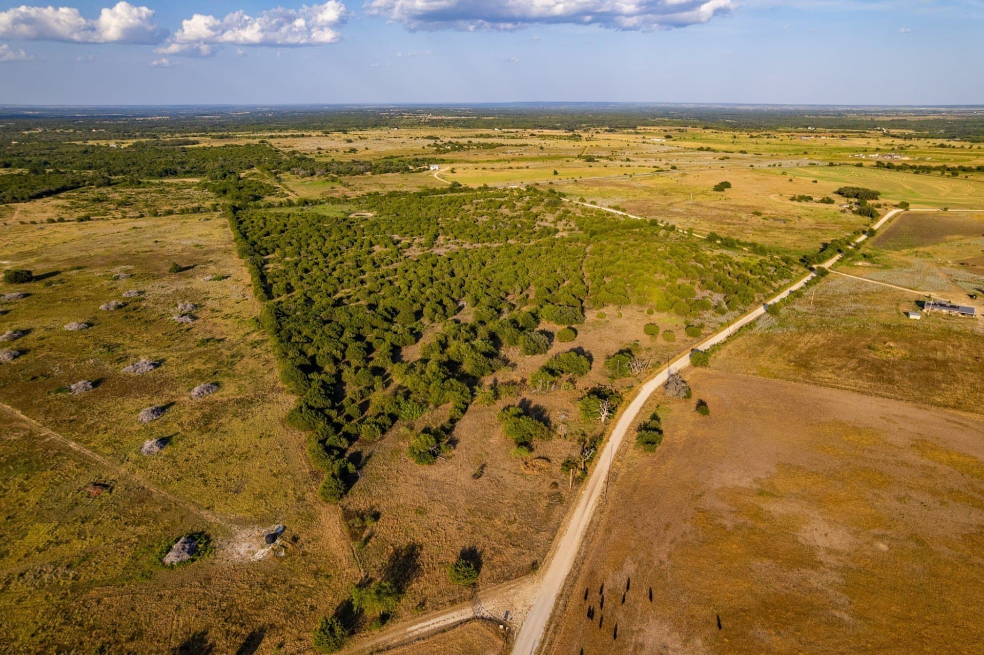 62.14 acres in Hamilton County - photo 3