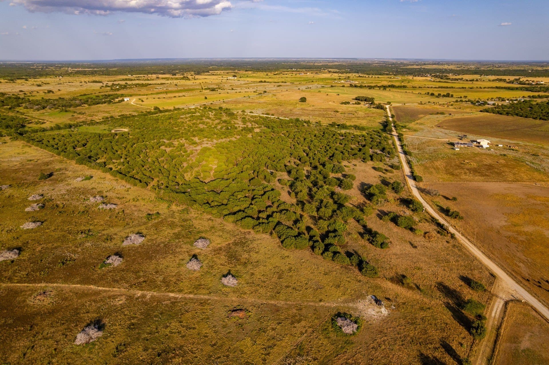 62.14 acres in Hamilton County - photo 4