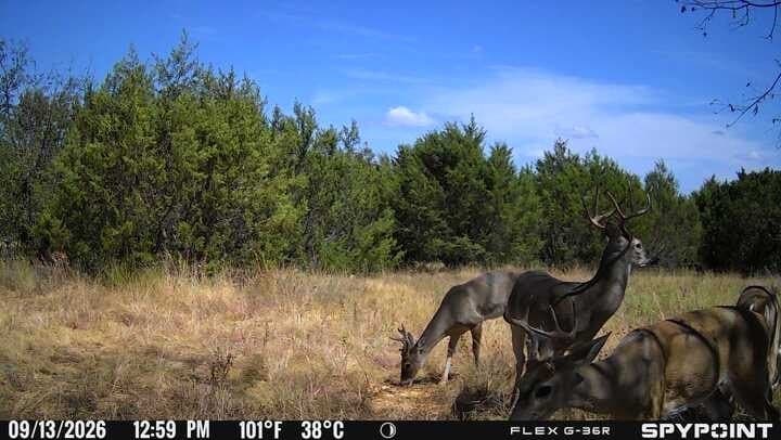 62.14 acres in Hamilton County - photo 7
