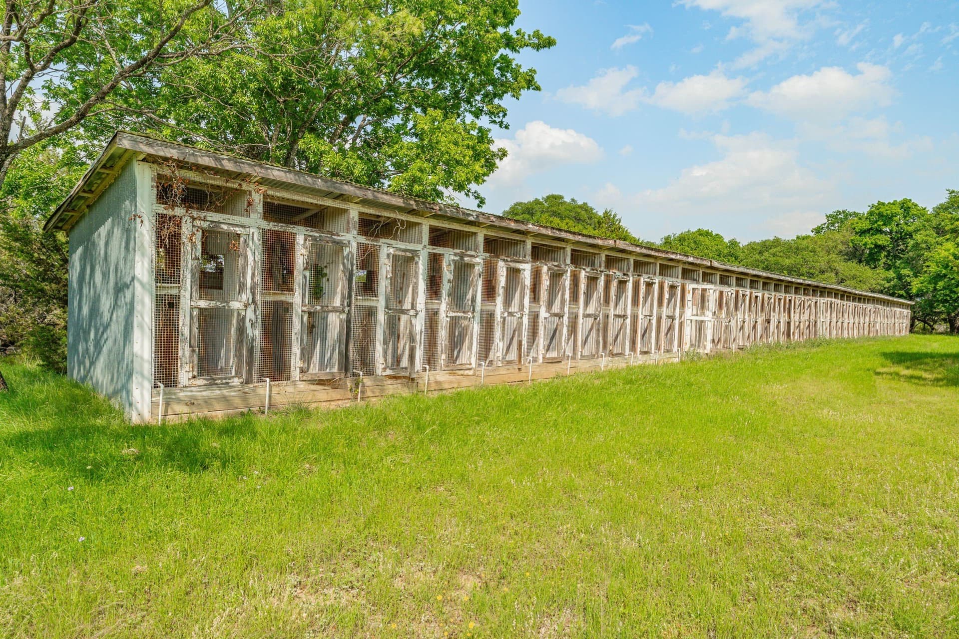 325 acres in Bosque County - photo 24