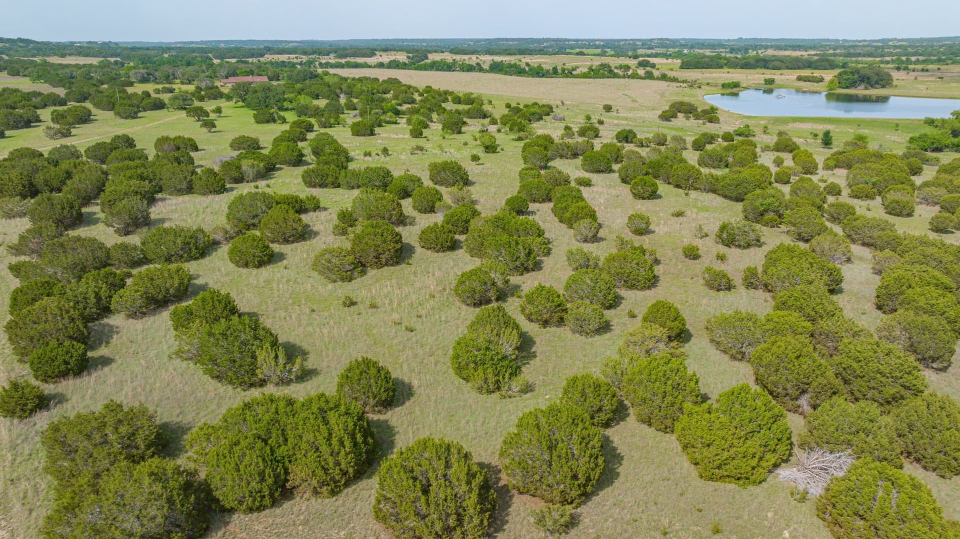 325 acres in Bosque County - photo 16