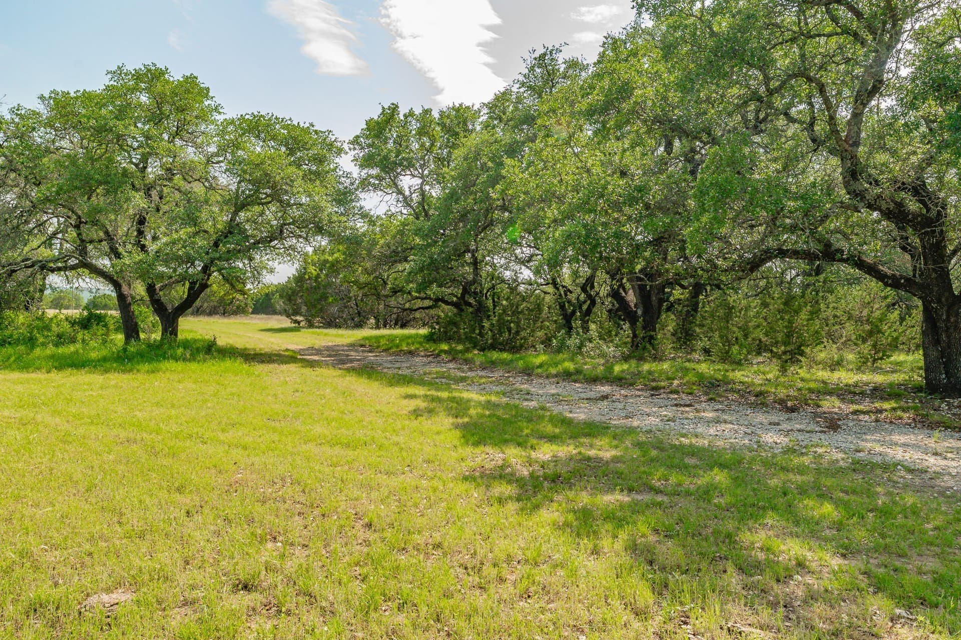 325 acres in Bosque County - photo 28
