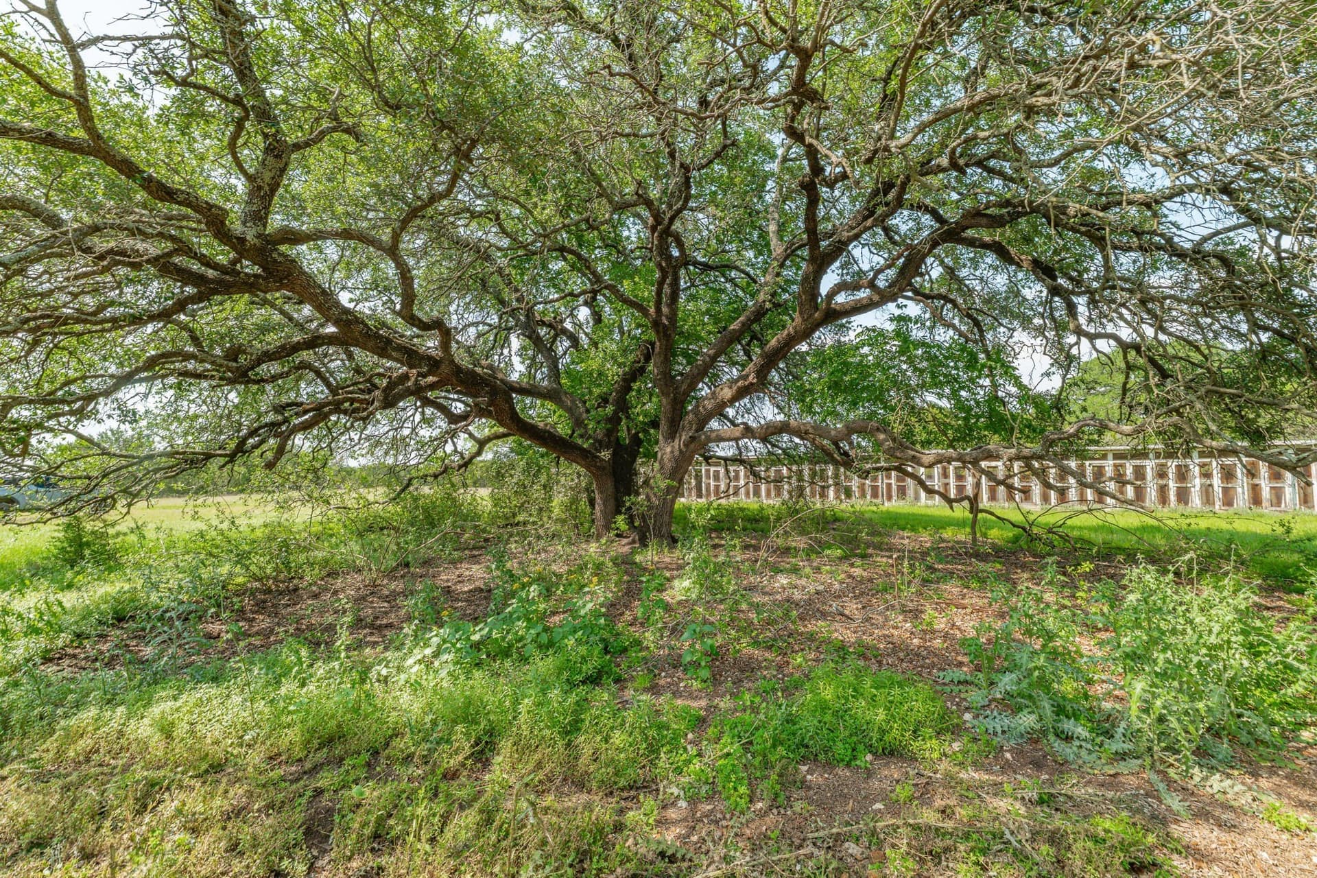 325 acres in Bosque County - photo 27