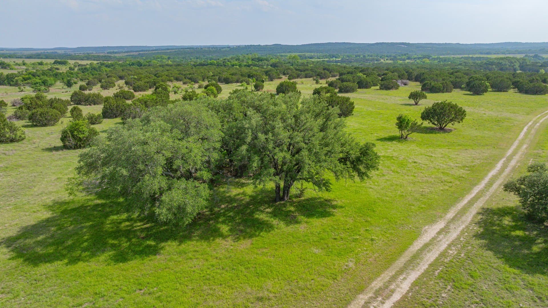 325 acres in Bosque County - photo 8