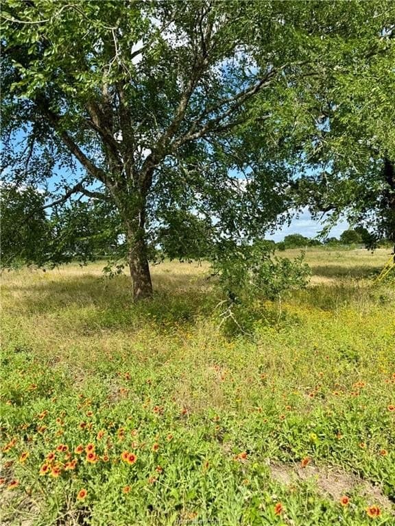 2.75 acres in Brazos County featured view