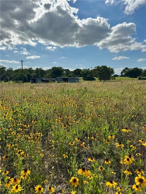 2.75 acres in Brazos County - photo 12