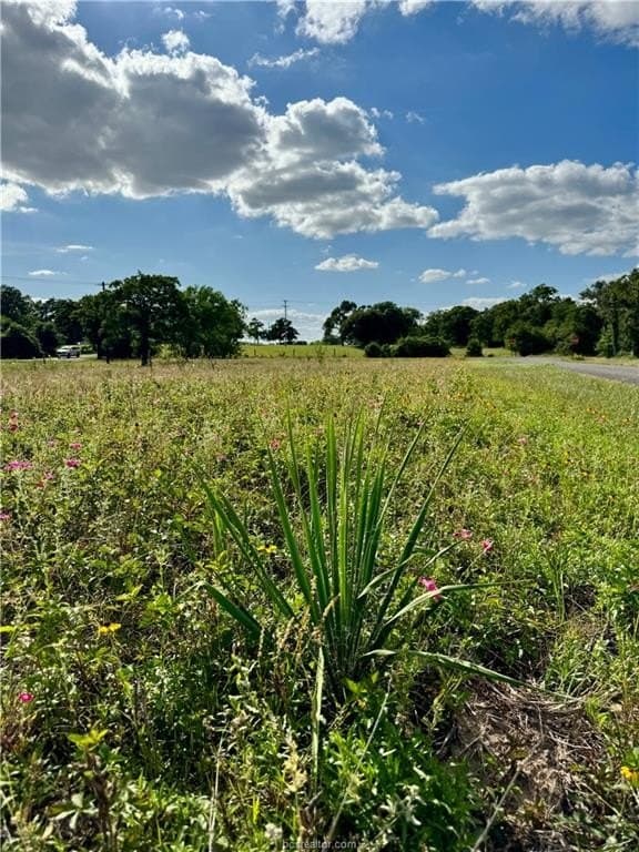 2.75 acres in Brazos County - photo 8