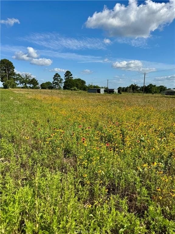 2.75 acres in Brazos County - photo 16