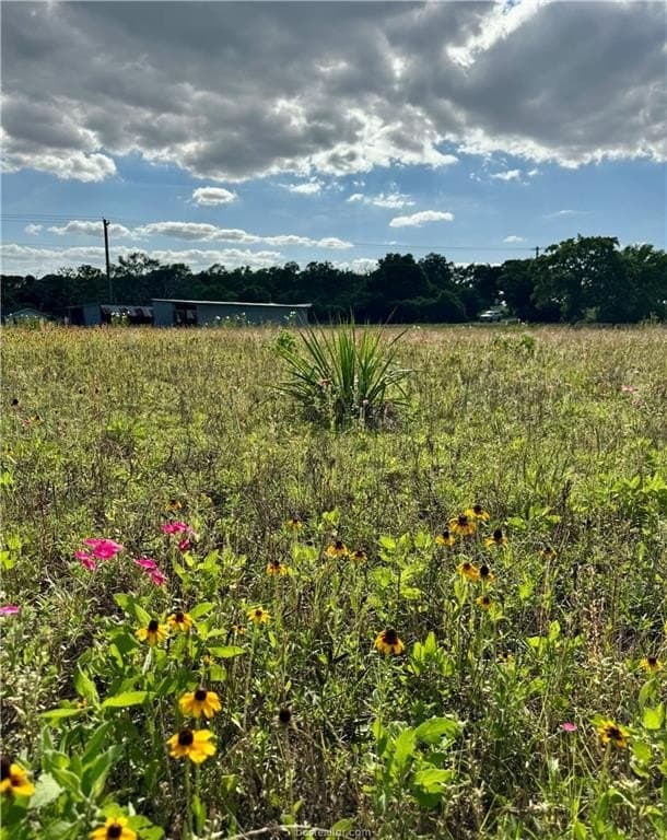 2.75 acres in Brazos County - photo 14