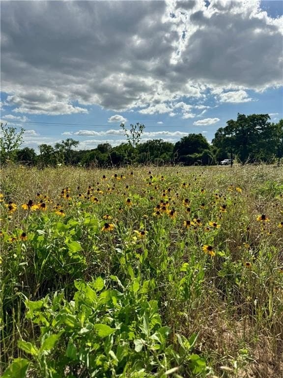 2.75 acres in Brazos County - photo 7