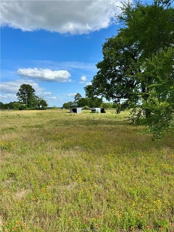 2.75 acres in Brazos County gallery image 4