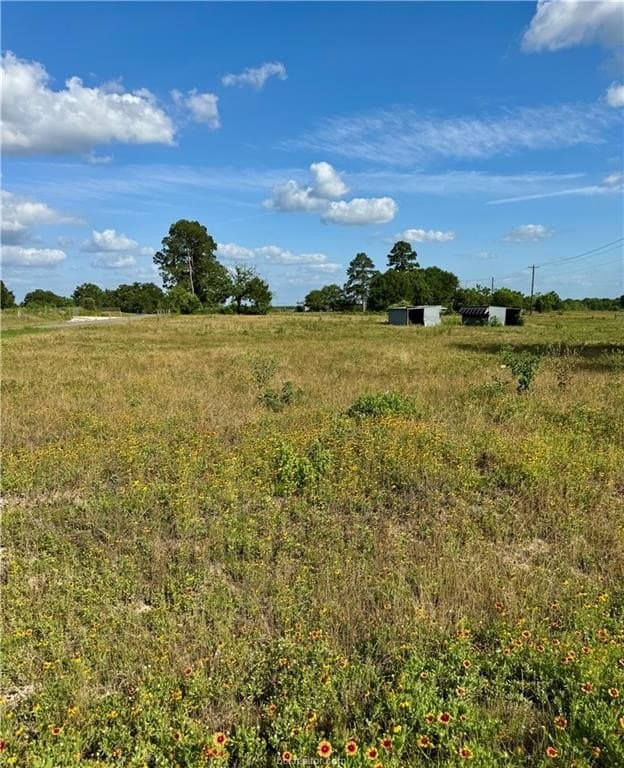 2.75 acres in Brazos County - photo 17