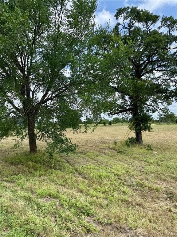 2.75 acres in Brazos County - photo 19