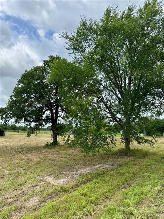 2.75 acres in Brazos County - photo 20