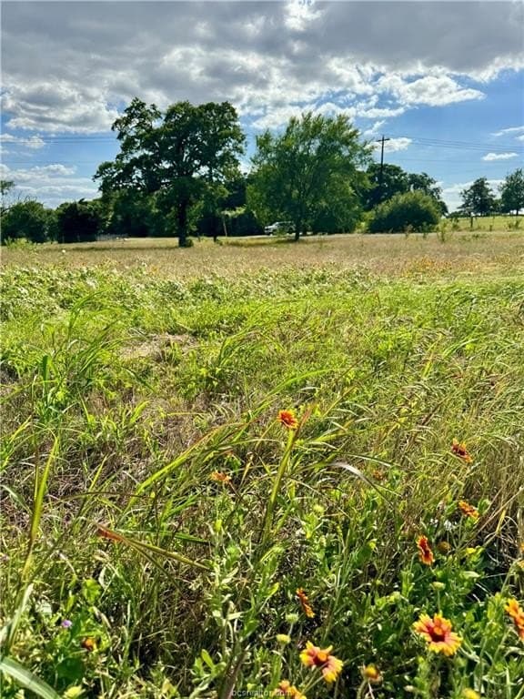 2.75 acres in Brazos County - photo 10