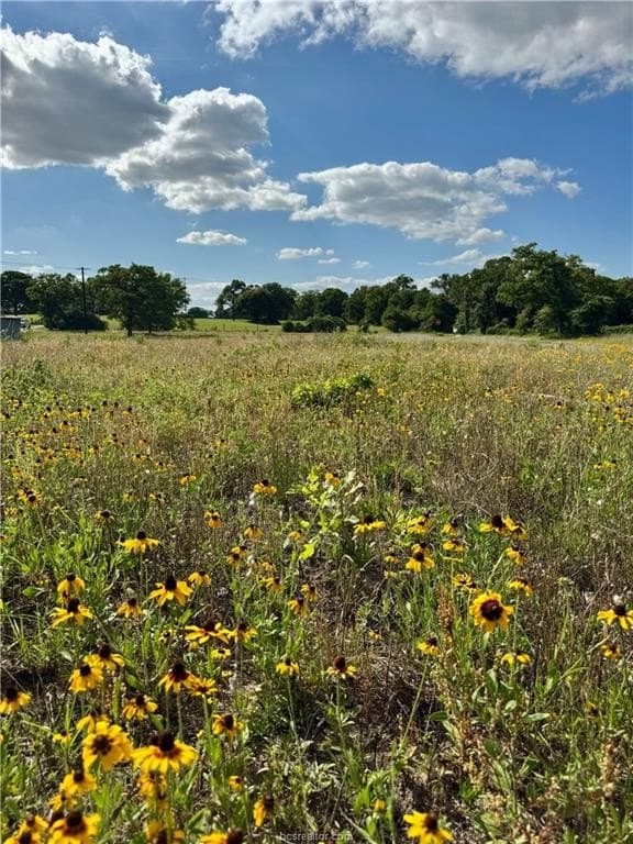 2.75 acres in Brazos County - photo 13