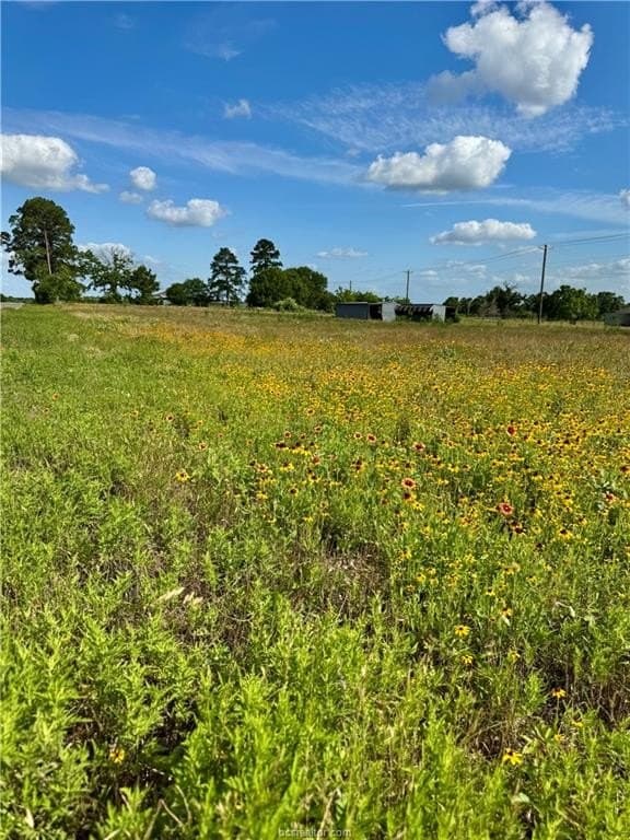 2.75 acres in Brazos County - photo 9