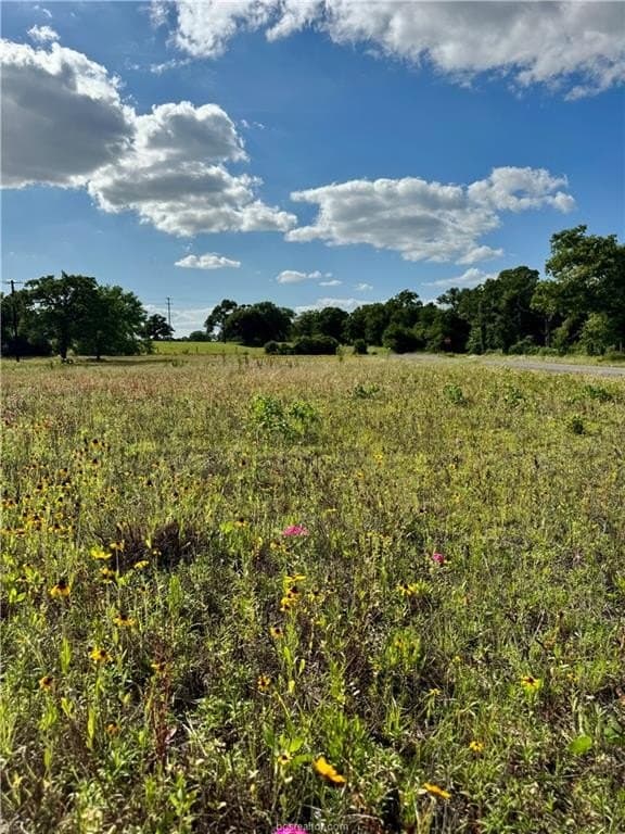 2.75 acres in Brazos County - photo 11