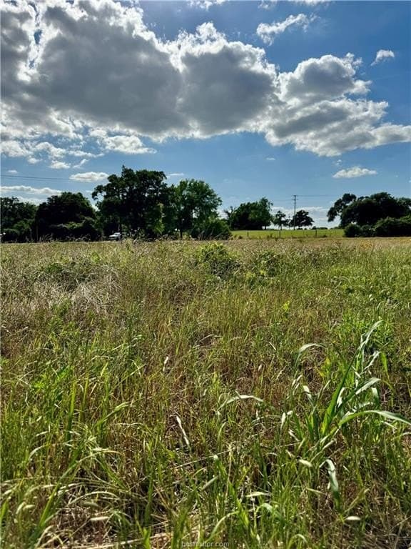 2.75 acres in Brazos County gallery image 3