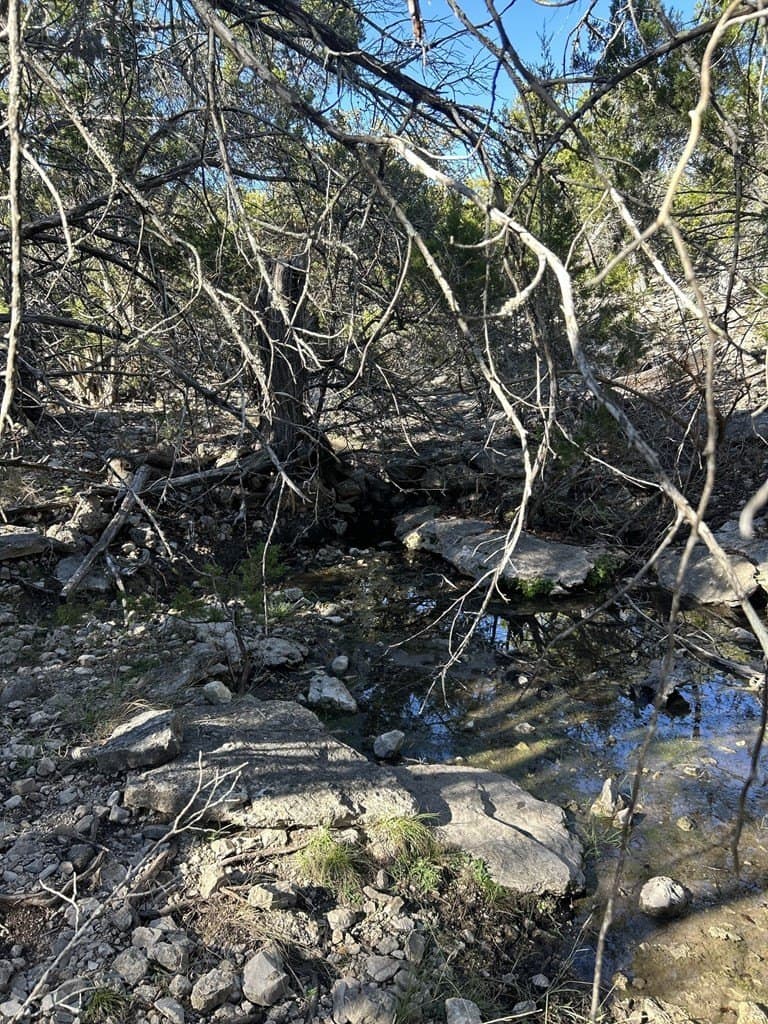 123 acres in Kerr County gallery image 3