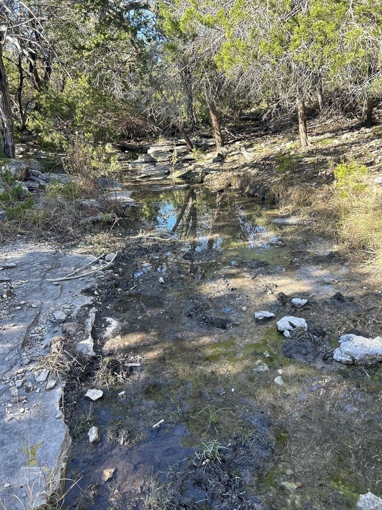 123 acres in Kerr County gallery image 4