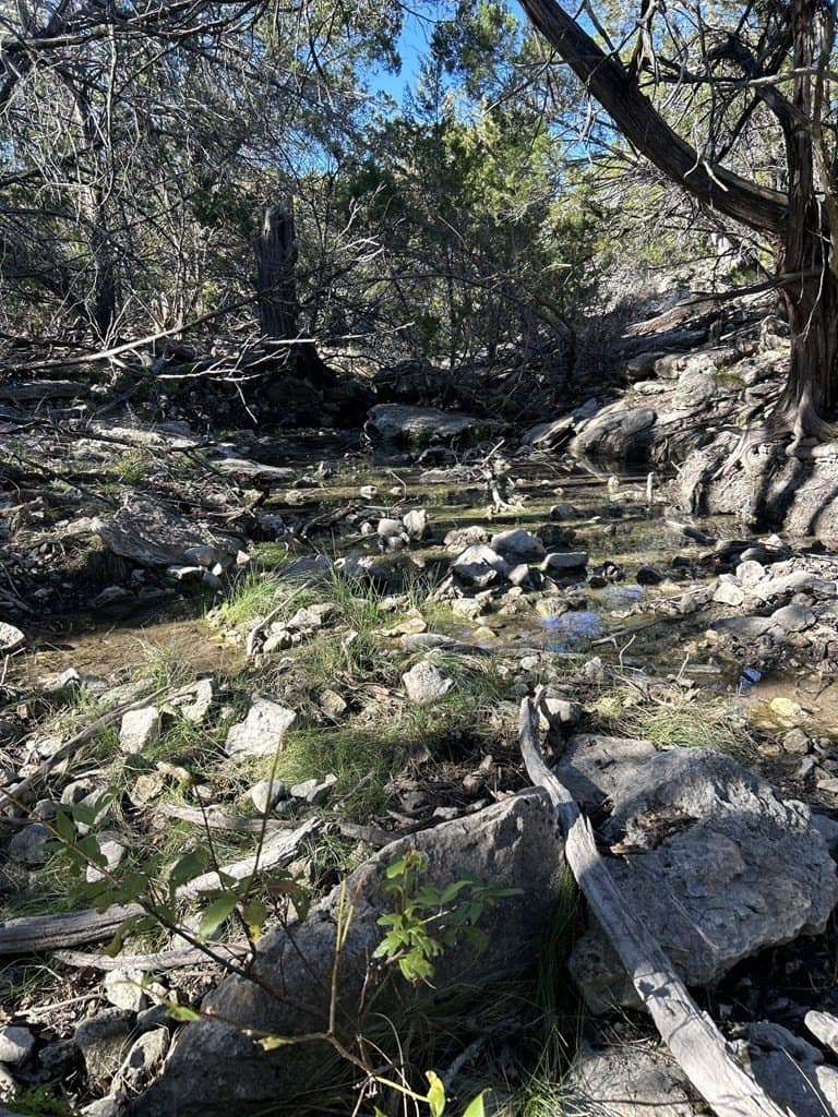 123 acres in Kerr County gallery image 2