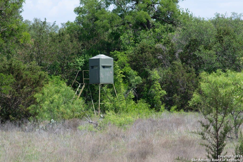 289 acres in Lampasas County - photo 9