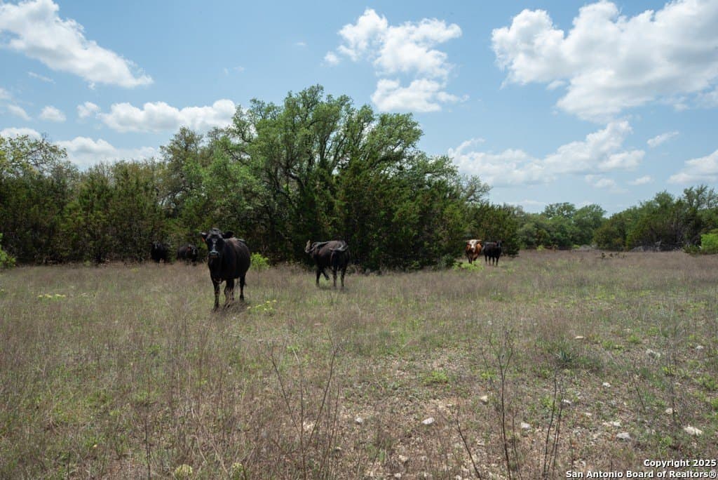 289 acres in Lampasas County - photo 7