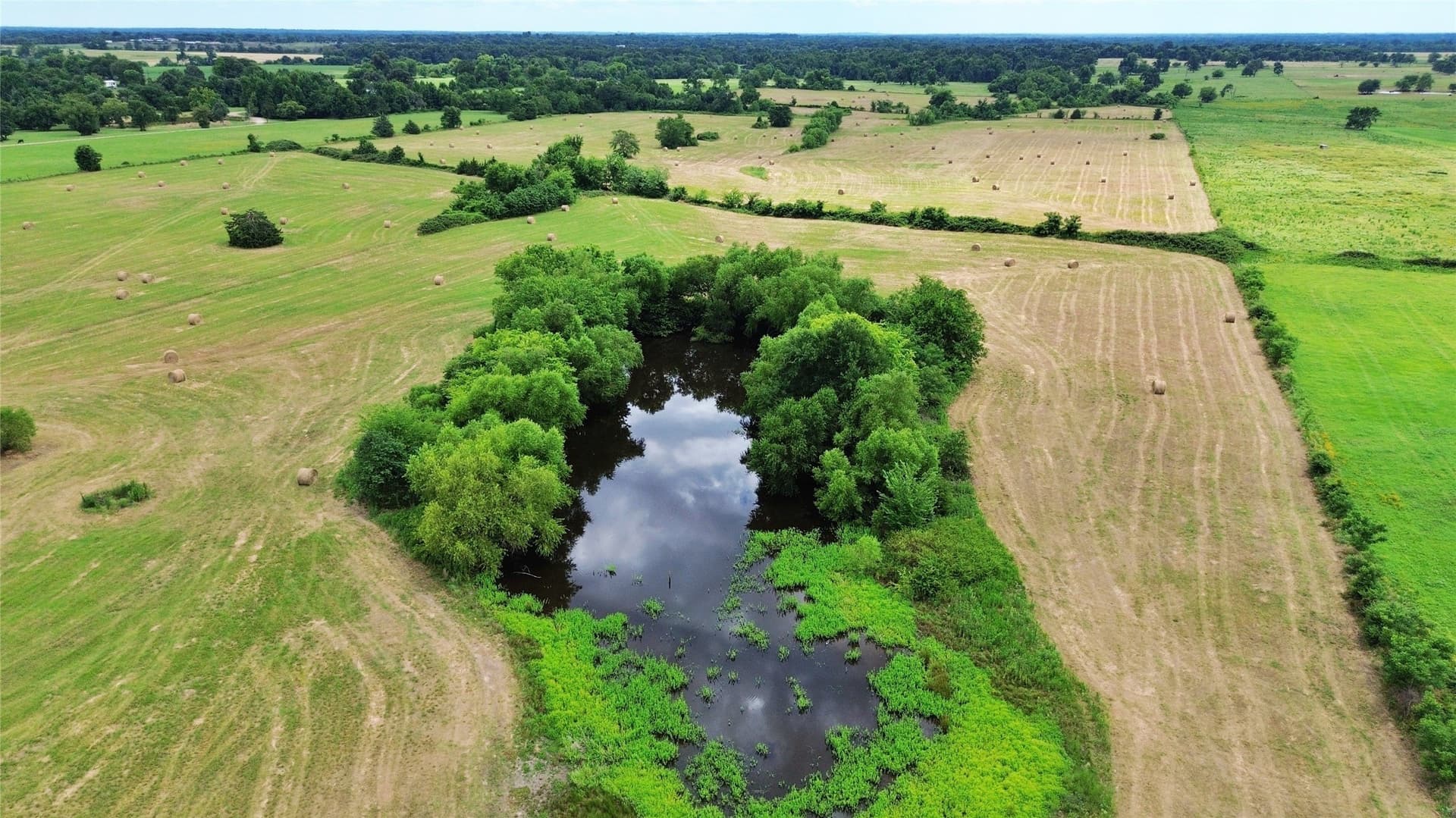 68.91 acres in Hopkins County - photo 9
