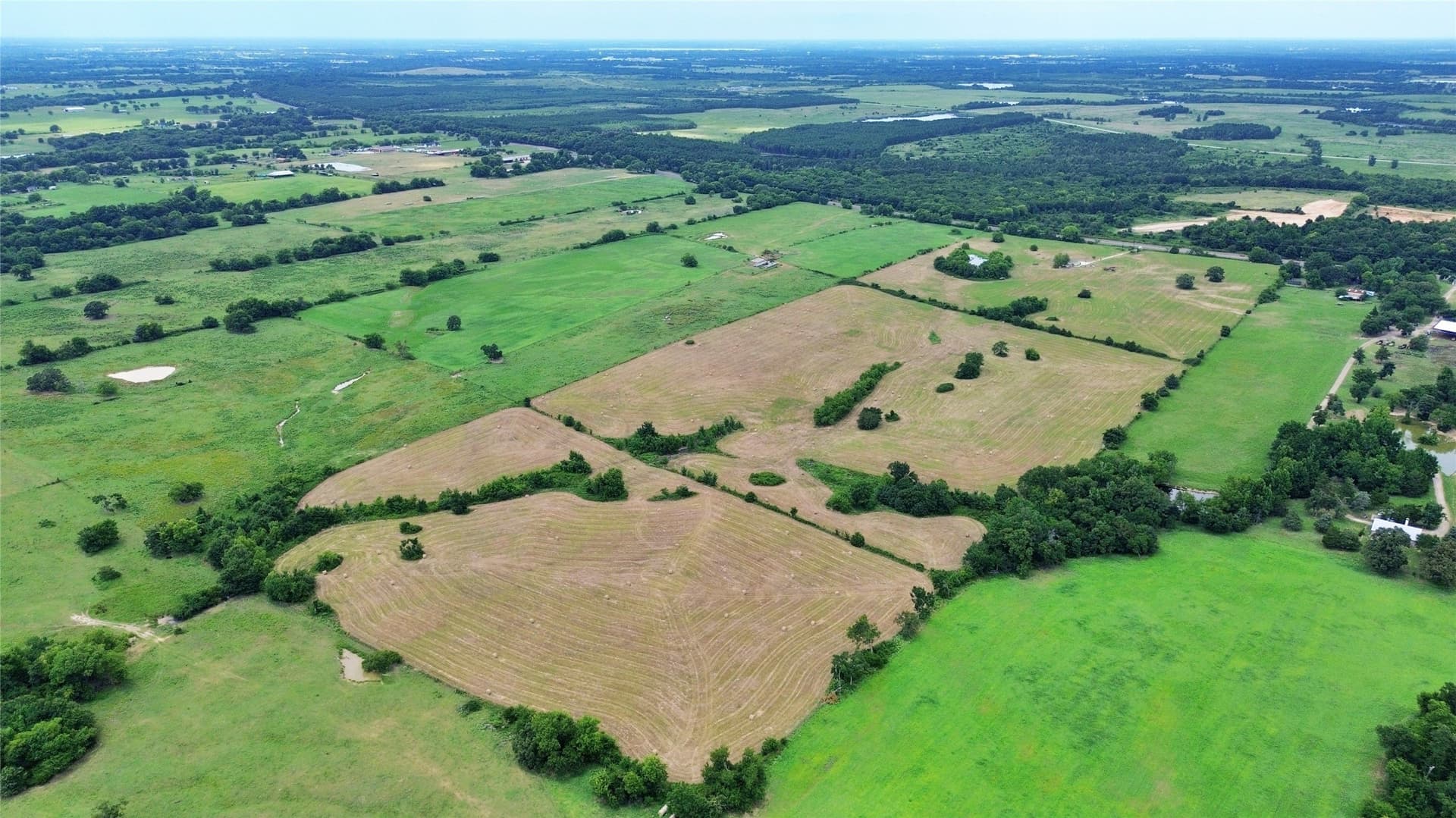 68.91 acres in Hopkins County - photo 7