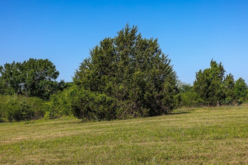 15.87 acres in Washington County - photo 5