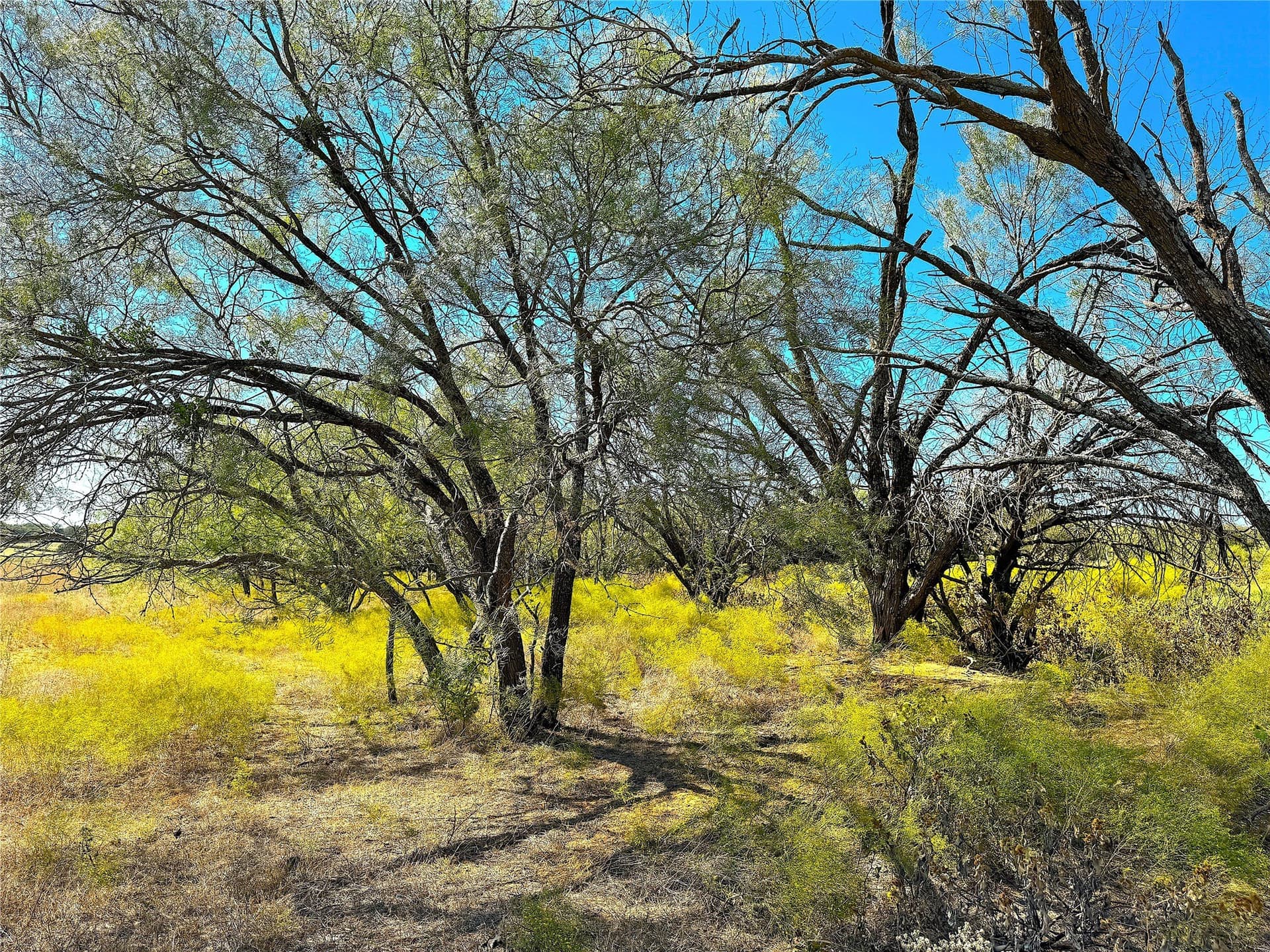 5 acres in Palo Pinto County - photo 18